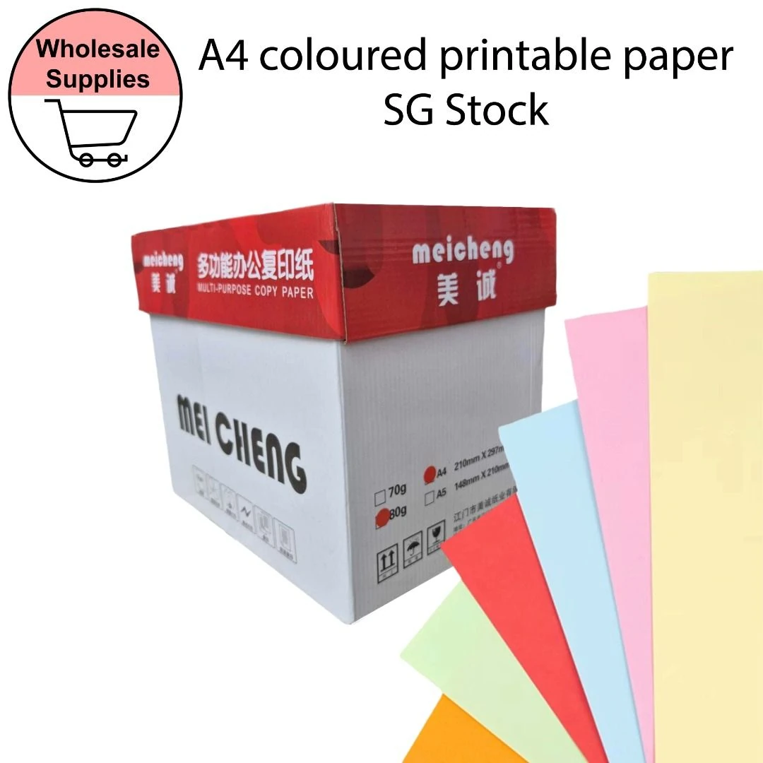 Mei Cheng A4 Coloured Printable Paper (80 GSM)