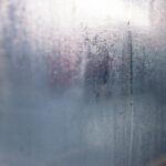 how does a dehumidifier work to reduce condensation on windows in humid environments