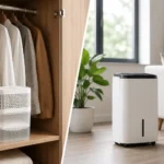 refrigerant vs desiccant dehumidifier comparison for humidity control in Singapore homes and storage spaces