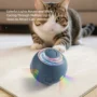 Cat playing with automatic pet ball with LED lights.