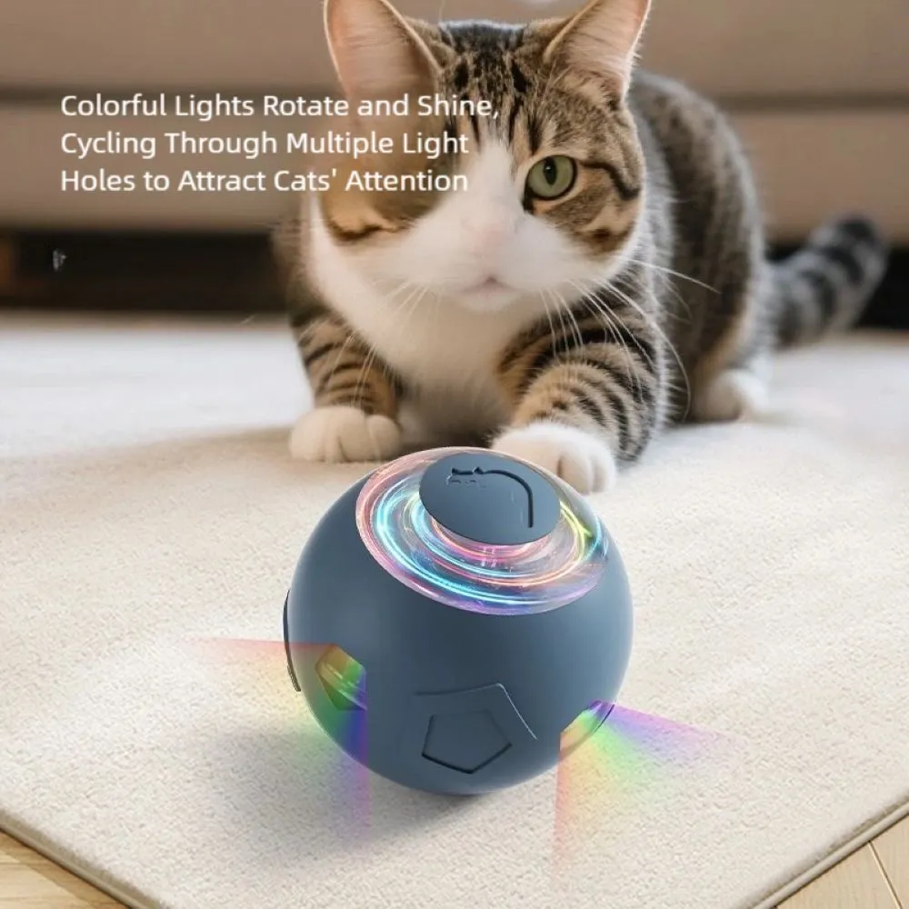 automatic-pet-ball-led-light-in-use Cat playing with automatic pet ball with LED lights.