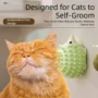 Cat rubbing against wall mounted catnip ball self groomer.
