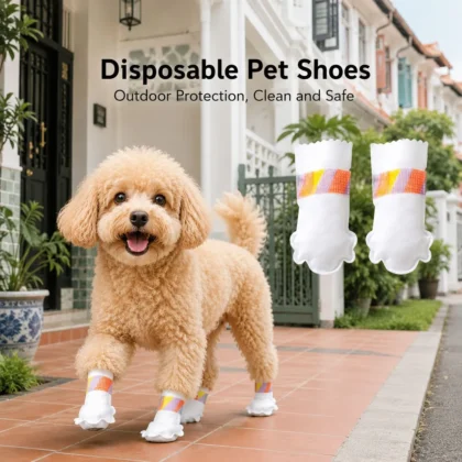 Dog wearing disposable dog shoes outdoors.
