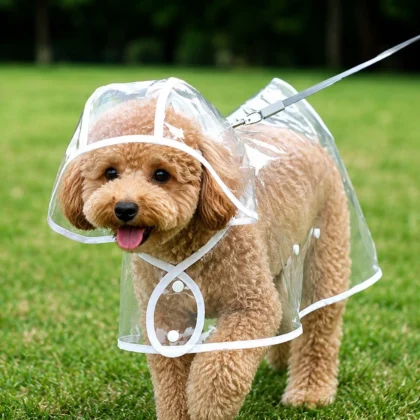 Dog wearing transparent raincoat with hood outdoors.