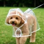 Dog wearing transparent raincoat with hood outdoors.
